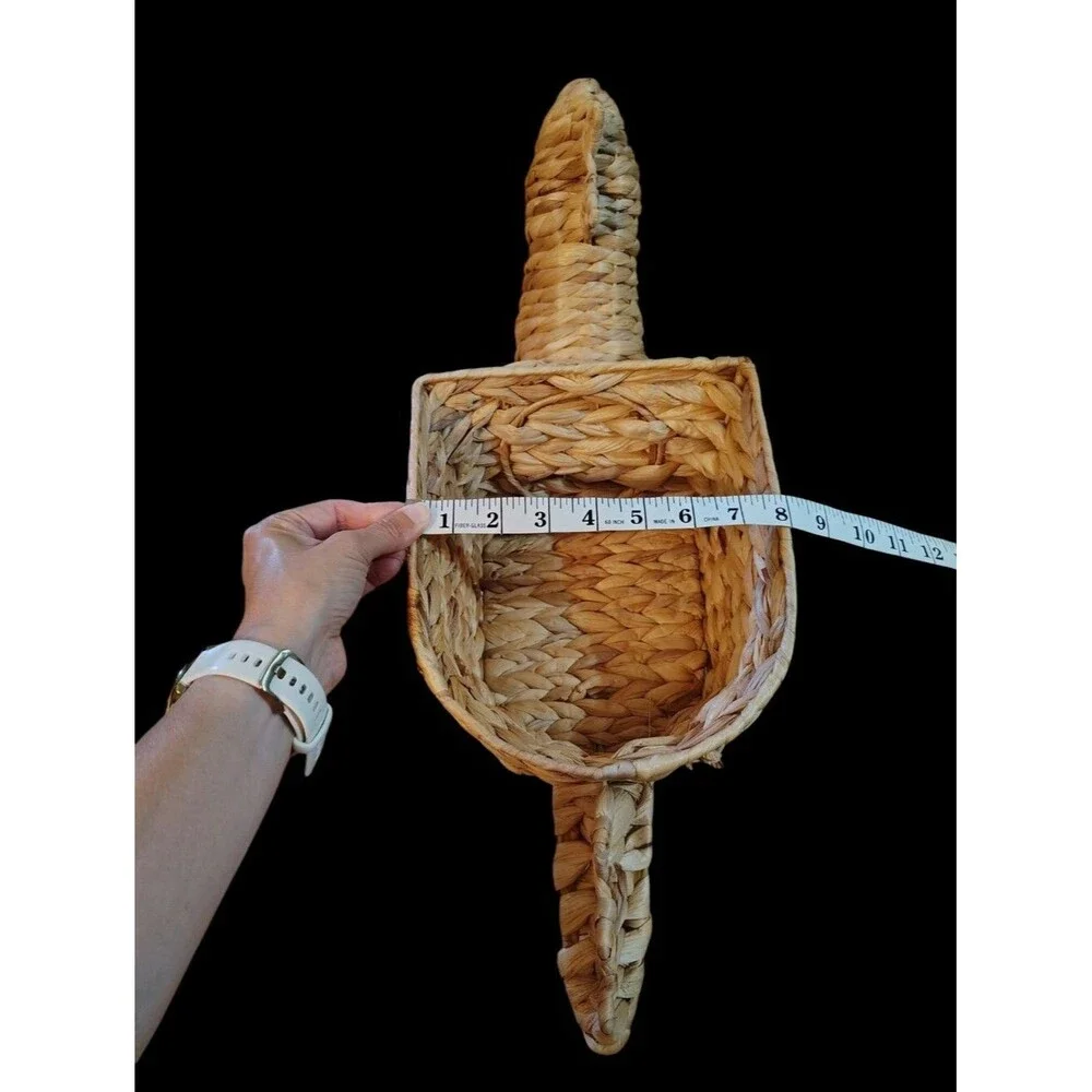 Dinosaur Rattan Wicker Plant Fruit Storage Decorative Planter